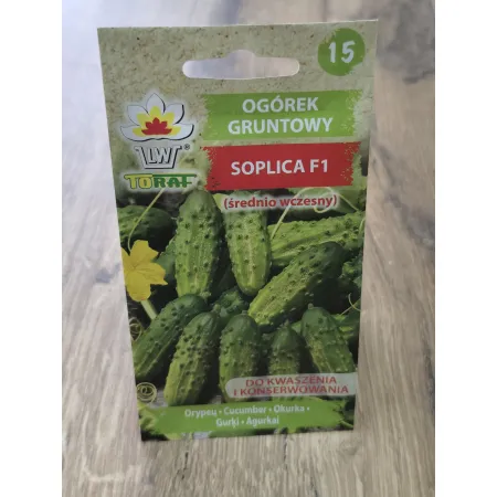 Ogórek gruntowy Soplica F1